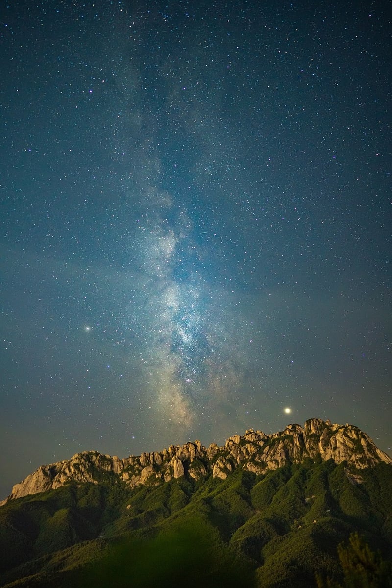 Celebrities under the stars